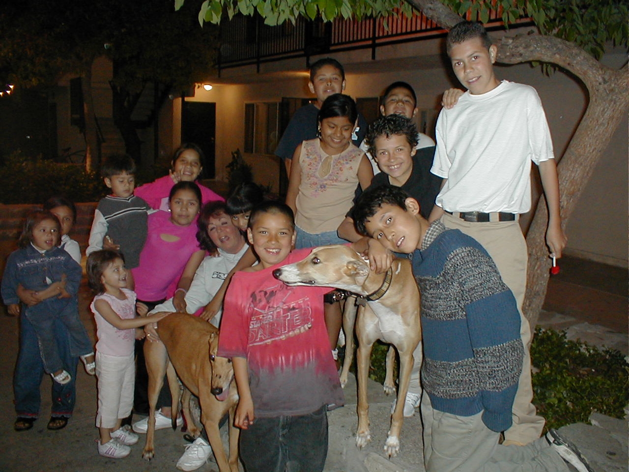 snl-kids-n-our-dogs