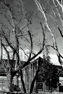 Honorable Mention - B&W - Still Life Honorable Mention - B&W - Still Life
