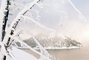 Wintry Beauty