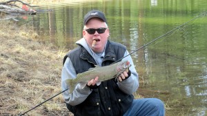 BD Fish LC 4
