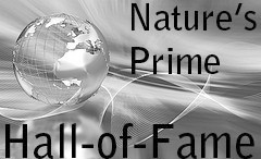 Hall of Fame Photography Award June 2012