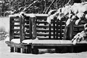 Honorable Mention - B&W - Winter Scene