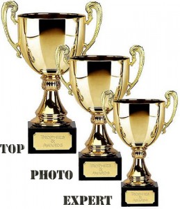 Top Photo Expert Award