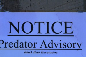 Predator Advisory