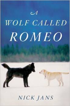 A Wolf Called Romeo – by Nick Jans