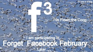 Forget Facebook February