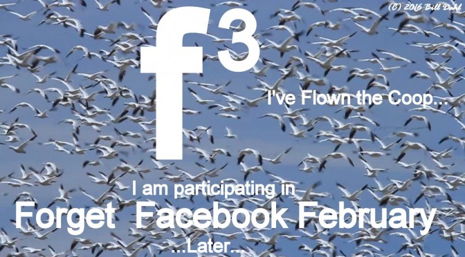 Forget Facebook February
