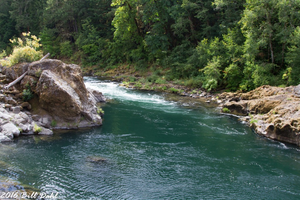 The North Umpqua River Bill Dahl