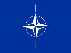 NATO’s ECHO by Bill Dahl